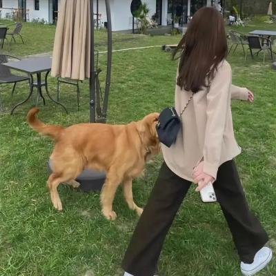 警网